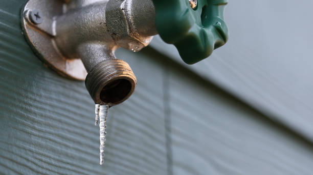 Best Septic Systems  in Farngton, MI